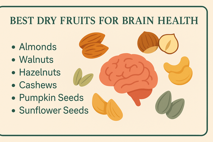 Dry Fruits for Brain Power