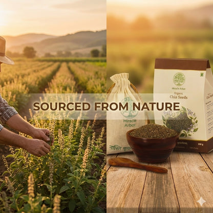 Organic Chia Seeds – Raw & Unroasted | 100% Natural