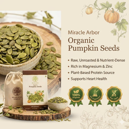 Organic Pumpkin Seeds – Raw & Unroasted | 100% Natural