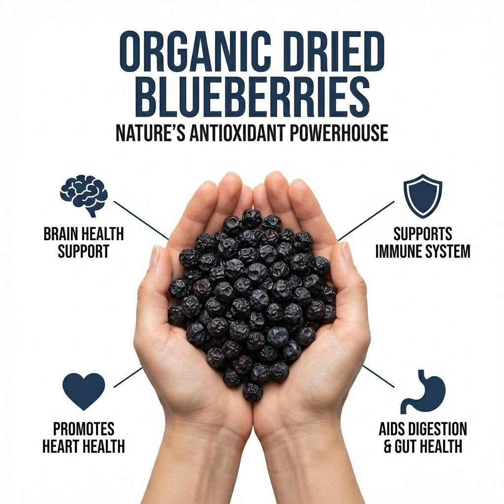 Organic Dried Blueberries – 100% Natural & Antioxidant Rich