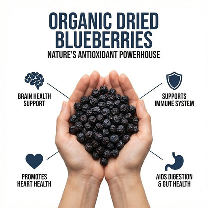 Organic Dried Blueberries – 100% Natural & Antioxidant Rich