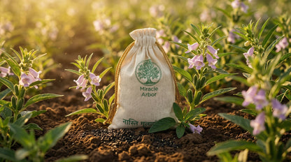 Organic Black Sesame Seeds (Kala Til) – Raw & Unroasted | 100% Natural