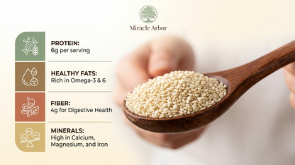 Organic White Sesame Seeds – Raw & Unroasted | 100% Natural
