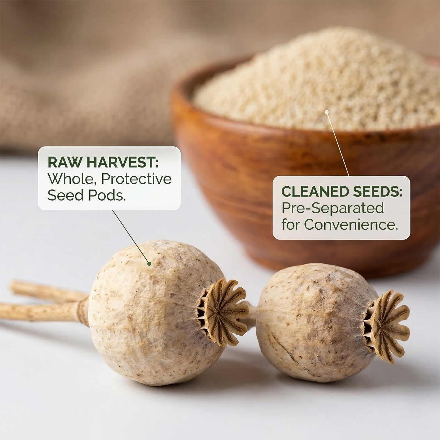 Organic Poppy Seeds (Khus Khus) – Raw & Unroasted | 100% Natural