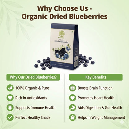 Organic Dried Blueberries – 100% Natural & Antioxidant Rich