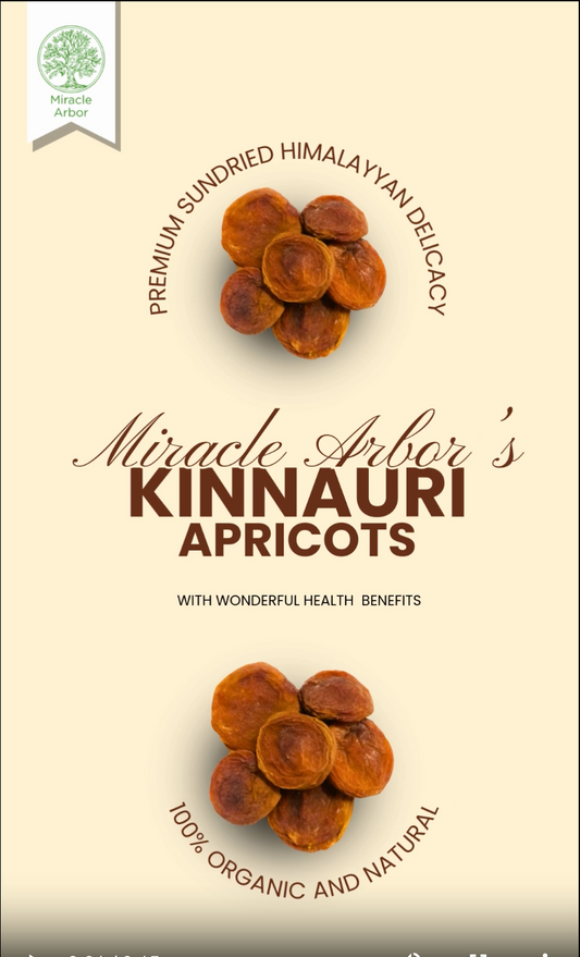 Sundried Kinnauri Apricots